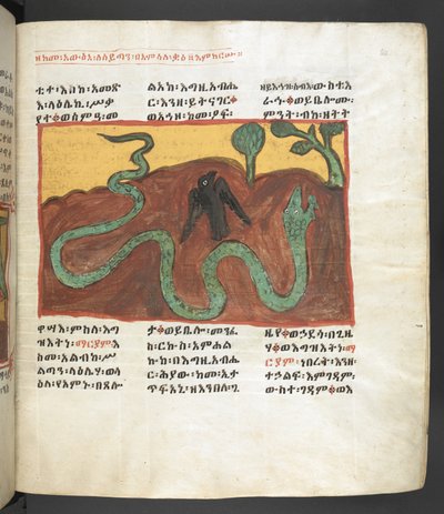 Or. 607 f064r, Scena della vita della Vergine Maria, da 