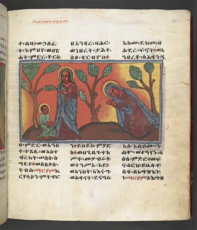 Scena della vita della Vergine Maria, da 