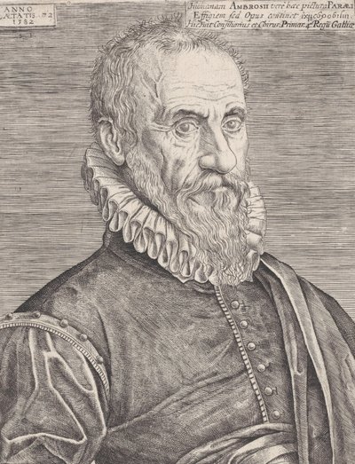 Ritratto di Ambroise Paré, il chirurgo del re da Etienne Delaune