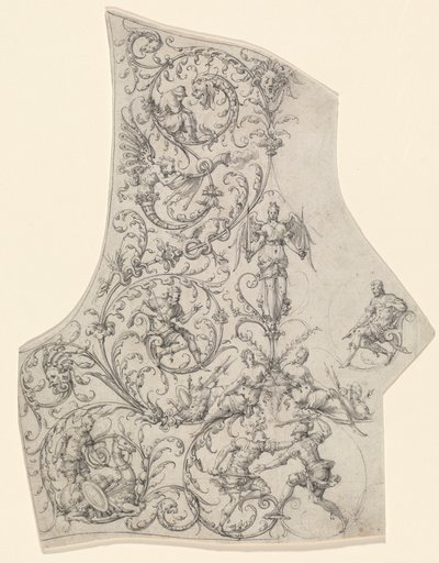 La piastra posteriore di un