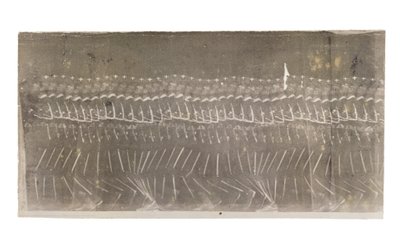 Uomo che cammina, 1882 da Etienne Jules Marey
