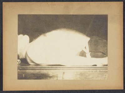 Marey in uno studio sulla respirazione da Etienne Jules Marey
