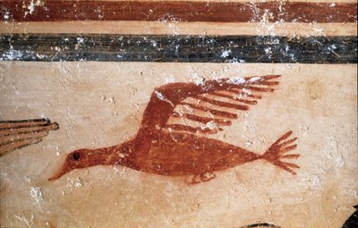 Un uccello (dettaglio di affresco, 530 a.C.) da Etruscan