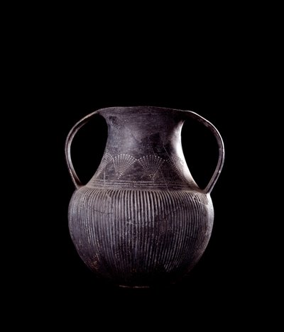 Civiltà etrusca: anfora in bucchero nero, da Veio, necropoli di Monte Michele, Italia - VII secolo a.C. da Etruscan