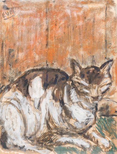 Katze da Eugeen van Mieghem