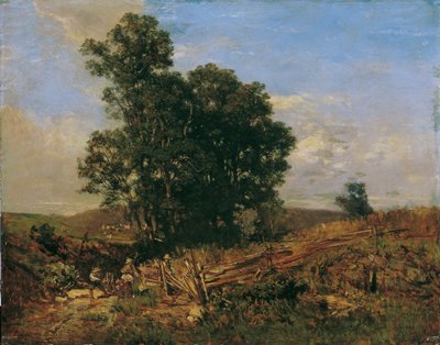 Gruppo di alberi lungo il sentiero da Eugen Jettel