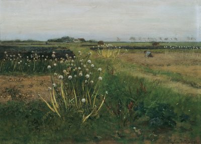 Campo di cipolle in fiore da Eugen Jettel