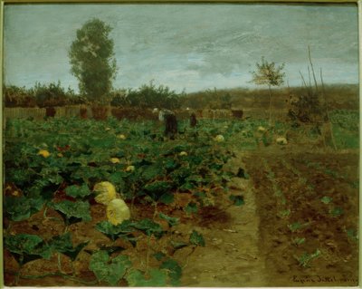 Campo di zucche da Eugen Jettel