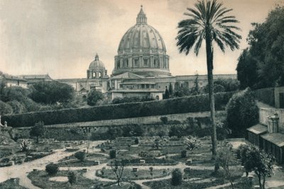 Giardini del Vaticano e cupola della Basilica di San Pietro, Roma, Italia da Eugen Poppel