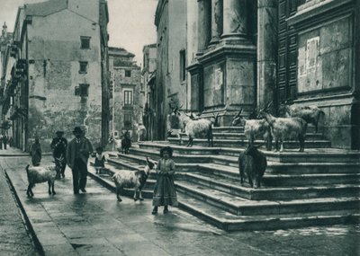 Capre sui gradini della Cattedrale, Palermo, Sicilia, Italia, 1927 da Eugen Poppel
