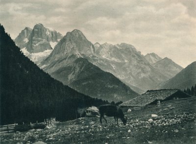 Vista del Gruppo di Brenta con pascolo alpino, Madonna di Campiglio, Dolomiti, Italia, 1927 da Eugen Poppel