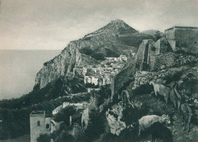 Veduta del mare con Monte Solaro, Capri, Italia, 1927 da Eugen Poppel