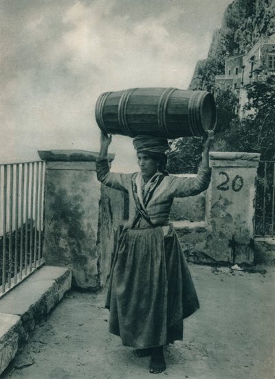 Portatore d