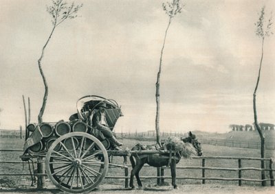 Portatore di vino nella Campagna, Roma, Italia, 1927 da Eugen Poppel