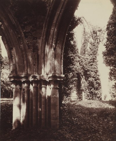 Dammarie-les-Lys, rovine, 1910 (foto) da Eugène Atget