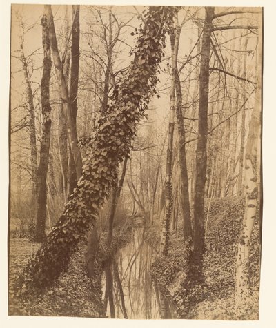  da Eugène Atget