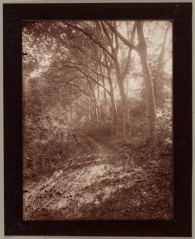  da Eugène Atget