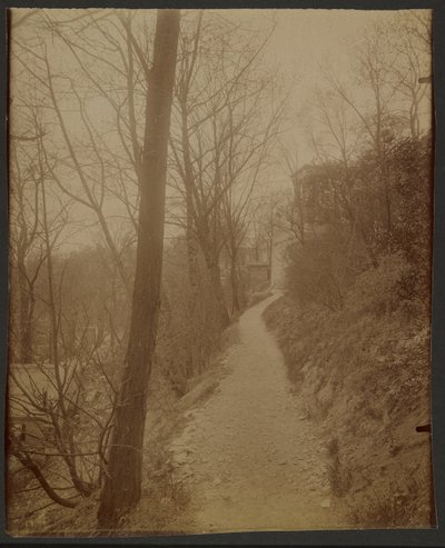 Père Lachaise, sentiero delle capre da Eugène Atget