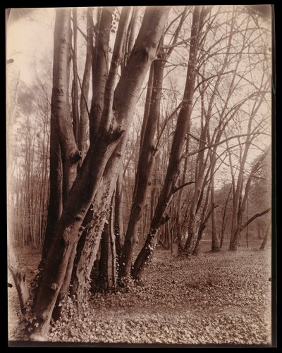  da Eugène Atget