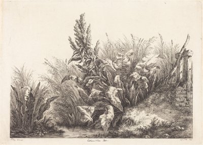  da Eugene Bléry