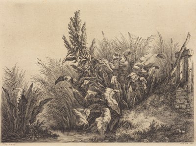  da Eugene Bléry