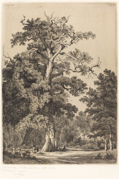 Quercia antica nel Bois de Boulogne da Eugene Bléry