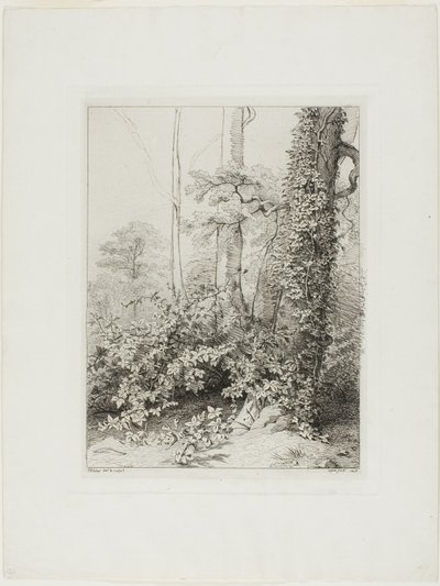 Rovo e Edera da Eugene Bléry
