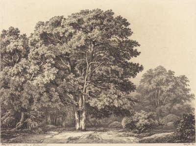 Ingresso a una foresta, 1840 da Eugene Bléry