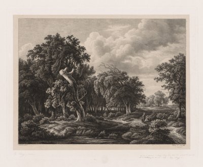 Gruppi di Varie Piante Disegnate dalla Natura: No. 7 da Eugene Bléry