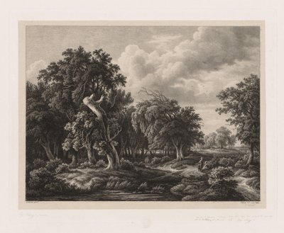Gruppi di varie piante disegnate dalla natura: No. 7, 1855 da Eugene Bléry