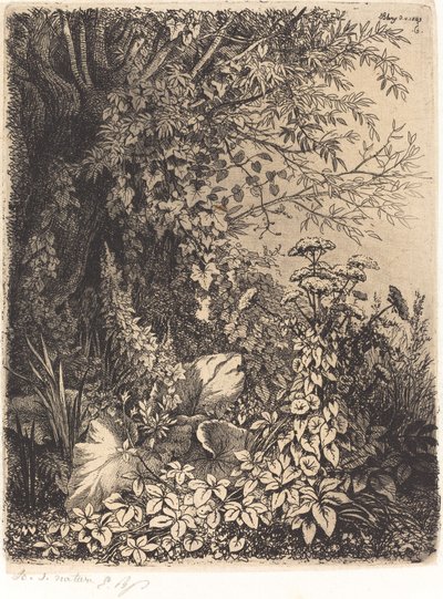 La bardana al salice da Eugene Bléry