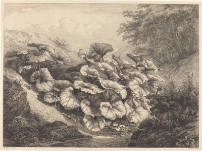 Grande farfaraccio da Eugene Bléry