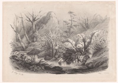 Piante lungo un ruscello da Eugene Bléry