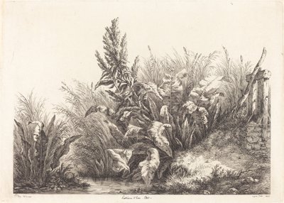 Studio di una pazienza-dock da Eugene Bléry