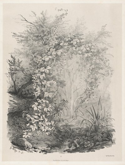 Piante e edere vicino a un ruscello da Eugene Bléry