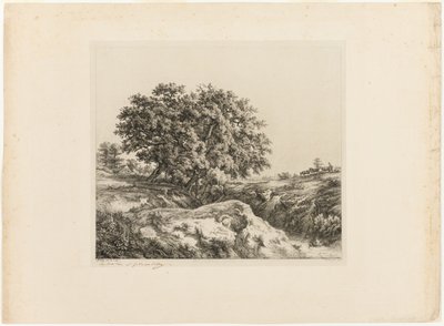 Il Mazzo di Alberi, o I Tigli (Souvenir della Sarthe) da Eugene Bléry