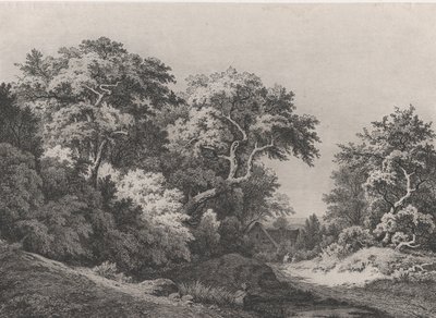 Il Bordo del Bosco, vicino a Rambouillet da Eugene Bléry