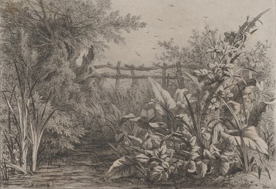 Lo stagno da Eugene Bléry