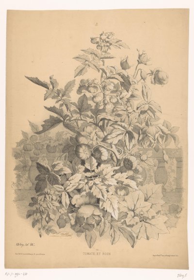 Pomodori e rose da Eugene Bléry