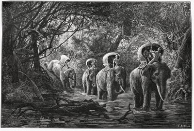 In viaggio nella foresta, la spedizione viaggia sul dorso di un elefante. Incisione di Eugene Burnand, per illustrare la storia "Viaggio nell
