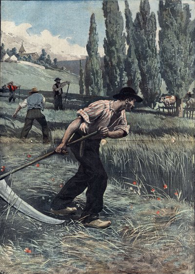 Illustrazione di Damblans in 