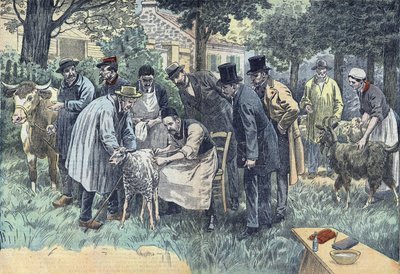 Louis Pasteur (1822-1895), biologo francese sperimentò con successo a Pouilly-le-Fort su richiesta della Società Agricola di Melun, il suo virus dell