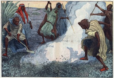 La distruzione delle cavallette in Algeria: gli arabi le bruciano tra grida e imprecazioni. Illustrazione di Damblans. In "Le Pelerin" del 4 luglio da Eugene Damblans