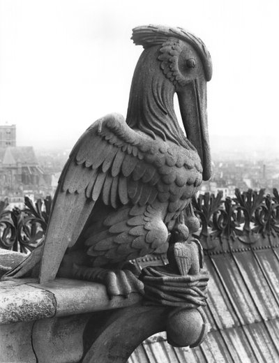 Gargoyle pellicano dalla balaustra della Grande Galerie della facciata ovest, replica di un originale del XII secolo da Eugene Emmanuel Viollet le Duc