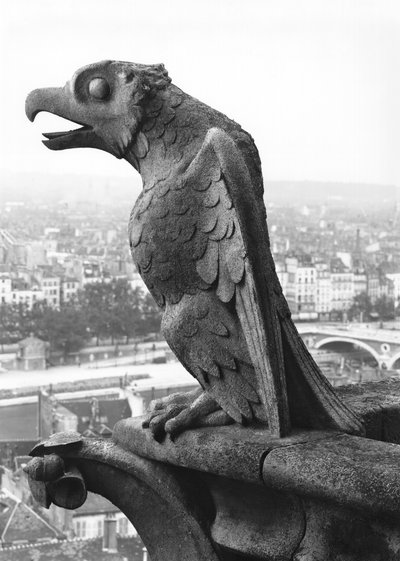 Gargoyle dalla balaustra della Grande Galerie della facciata ovest, replica di un originale del XII secolo da Eugene Emmanuel Viollet le Duc