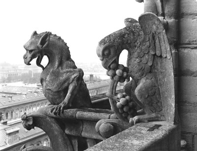 Gargoyle dalla balaustra della Grande Galerie della facciata ovest, replica di un originale del XII secolo da Eugene Emmanuel Viollet le Duc