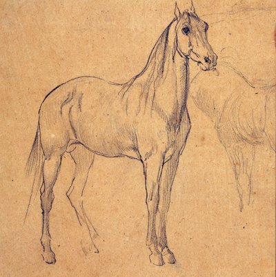 Studio di un cavallo da Eugène Fromentin
