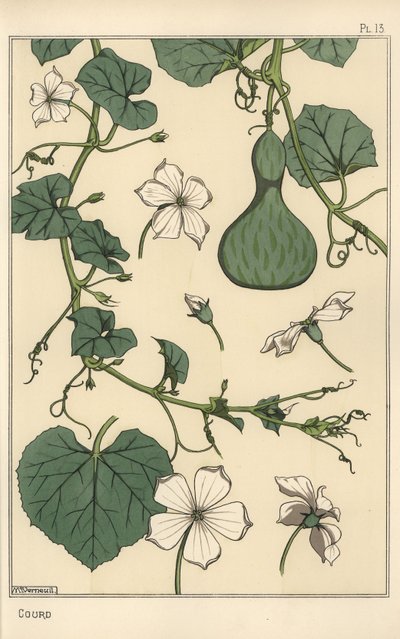 Illustrazione botanica della zucca da Eugene Grasset