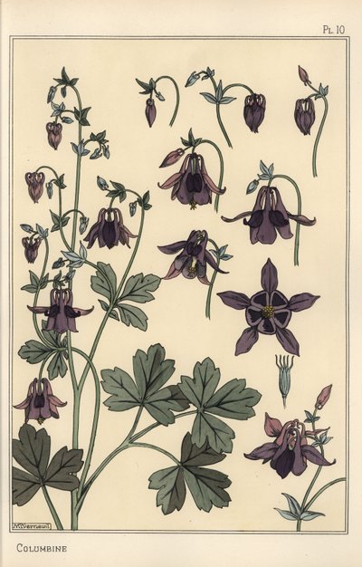 Colombina, Aquilegia vulgaris, parti del fiore da Eugene Grasset