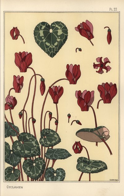 Pianta di ciclamino, con dettagli del fiore, foglie, petali da Eugene Grasset